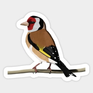 Goldfinch Bird Watching Birding Ornithologist Gift Sticker